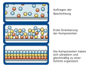 Auftragen der  Beschichtung Erste Orientierung  der Komponenten Die Komponenten haben sich ultradnn und  gleichmig zu einer  Schicht organisiert